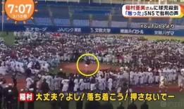 2022年娱乐圈吃瓜大集合,年度吃瓜大集合