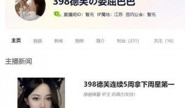 91先生直播,揭秘直播界的魅力与挑战